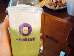 -一只酸奶牛(八一路店)
