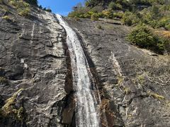-朱雀国家森林公园