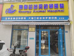 -总动员动物医院(宝丰院店)