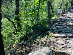 -阳台山自然风景区