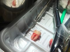 -上海市杨浦区牙病防治所