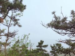 -石老人观光园