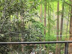 -东明山森林公园