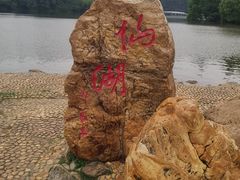 -深圳仙湖植物园