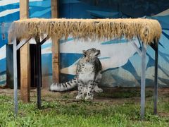 -青藏高原野生动物园