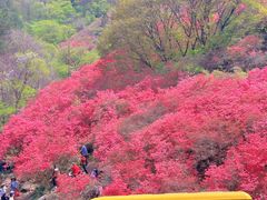 -木兰云雾山