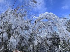 -江西阳明山国家森林公园