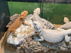 -FAIRYLAND龙族星球主题餐厅(凯丹广场店)