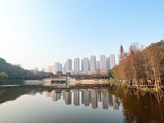 -重庆彩云湖湿地公园