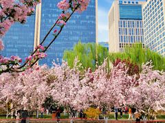 -元大都城垣遗址公园