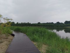 -东郊湿地公园