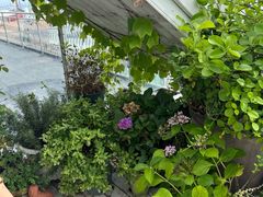 -Vanillacafe香草咖啡(银海大世界店)