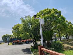 -荷塘月色湿地公园·向阳花洲