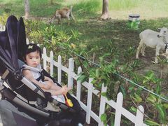 -上海滴水湖皇冠假日酒店