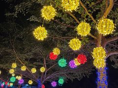 -汕尾铜鼎山旅游区