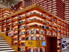 -朵云书院(滴水湖店)