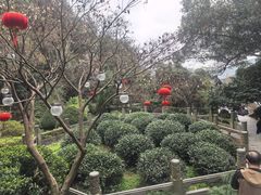 -十八棵（老龙井）御茶园(老龙井店)