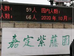 -嘉定紫藤园