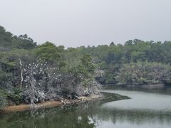-广州莲花山旅游区