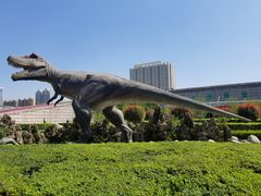 -陕西自然博物馆