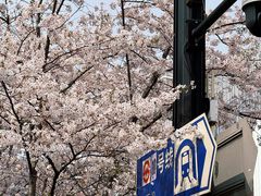 -爱康国宾体检中心(五角场万达广场分院)