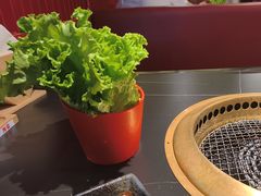 -谷牛和牛烤肉(漕河泾印象城店)