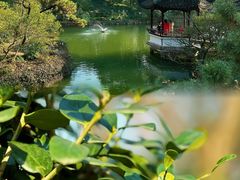 -上海醉白池公园