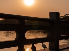 -海珠湖公园