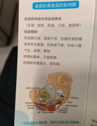 -菊子小颜·日式整骨·产后管理