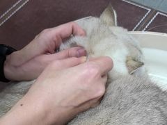 -联合动物医院(光谷诊疗中心)