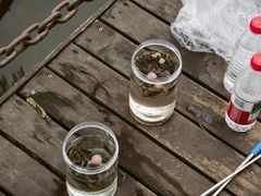 -重庆彩云湖湿地公园