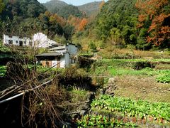 -祁门牯牛降观音堂风景区