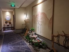 -鼎族怡华·指压·经络·疗愈SPA(紫荆店)