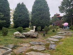 -燕郊植物园
