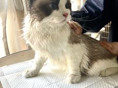 -宠颐生宠物医院·犬猫全科·皮肤科(商业街店)