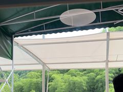 -将军关探险漂流