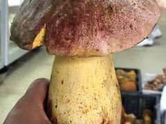 -双喜农庄·菌香园(安居家园店)