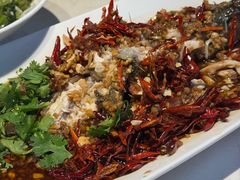 -杨氏青龙虾·羊蝎子(托乐嘉店)