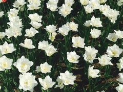 -长春公园(普阳街道)