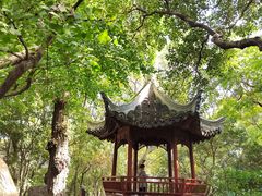 -秋霞圃
