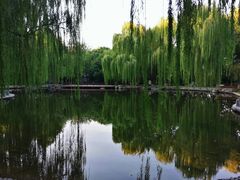 -玲珑塔公园