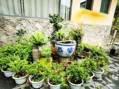 -天怡·鱼工厂(梅溪湖店)