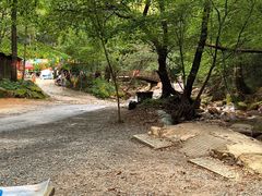 -本溪汤沟绿石谷森林公园