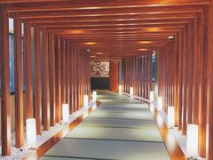 -重庆南山海昌汤都