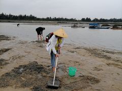 -北海金海湾红树林生态旅游区