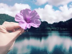 -海南热带雨林国家公园吊罗山景区