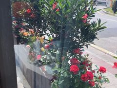 -海景壹号大酒店(滨湖店)