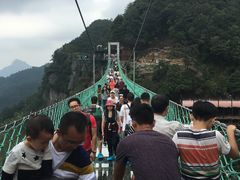 -梦幻奥陶纪景区