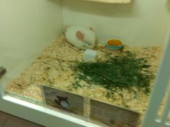 -龙猫仔乐园(惠福东路店)