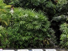 -广州锦绣香江度假别墅